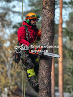 Удаление деревьев в Ступино